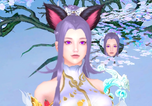 VashWF