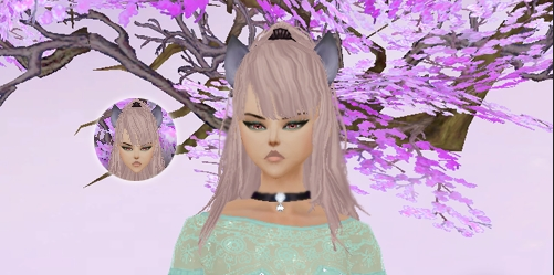VashWF